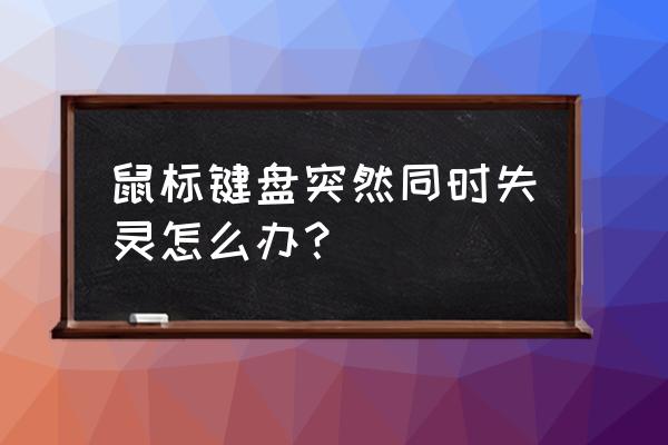 鼠标键盘控制不了怎么办 鼠标键盘突然同时失灵怎么办？