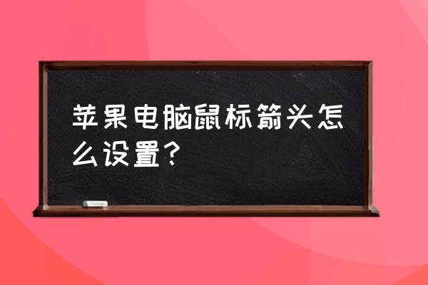 苹果系统可以更改鼠标指针吗 苹果电脑鼠标箭头怎么设置？