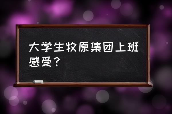 阜新牧原是做什么的 大学生牧原集团上班感受？