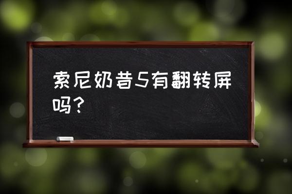 索尼奶昔5可以外接电源吗 索尼奶昔5有翻转屏吗？