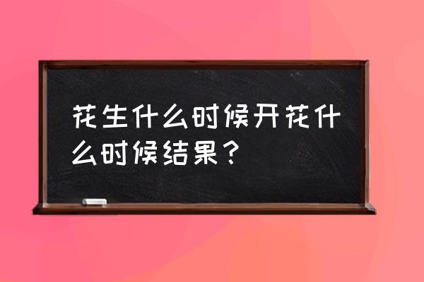 花生会开花吗 花生什么时候开花什么时候结果？