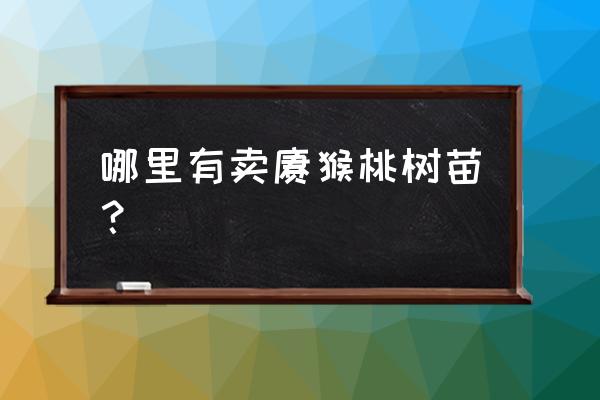 我想买猕猴桃树苗到哪里去买 哪里有卖猕猴桃树苗？