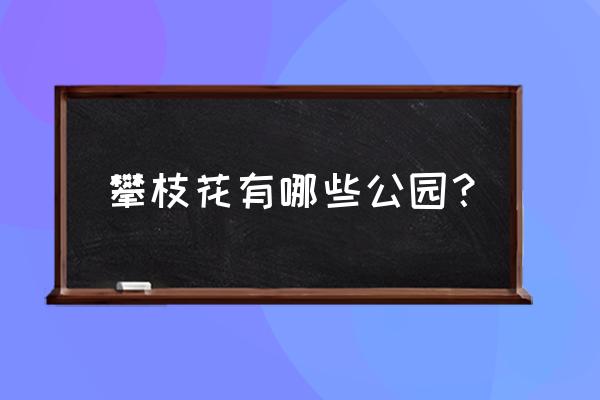 竹潭湖公园是不是攀枝花公园 攀枝花有哪些公园？