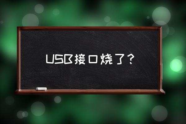 难道usb接口坏了吗 USB接口烧了？