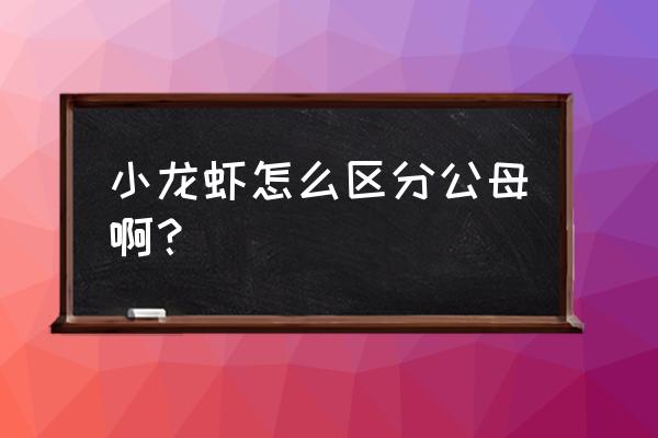 小龙虾如何辨认公母 小龙虾怎么区分公母啊？