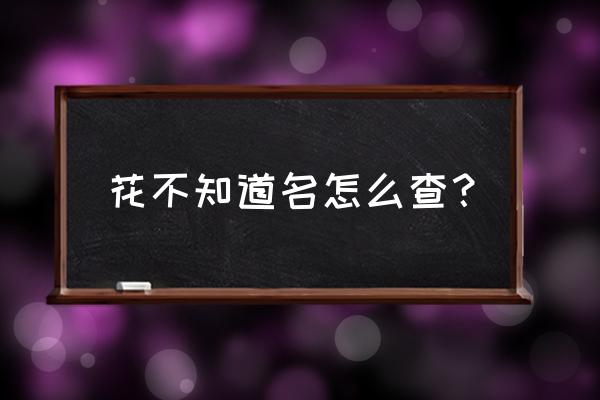 怎样查询不认识的花卉 花不知道名怎么查？