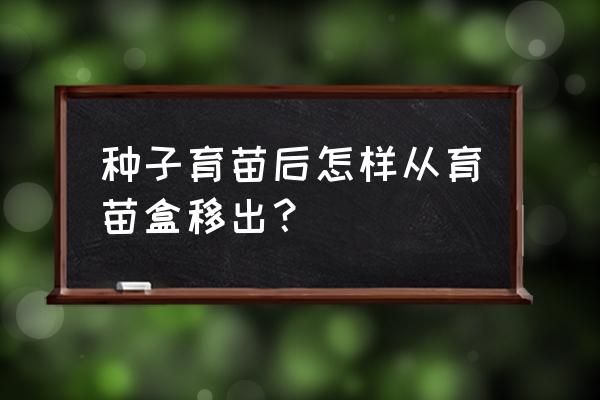 糖菜苗纸筒为什么拔不开 种子育苗后怎样从育苗盒移出？