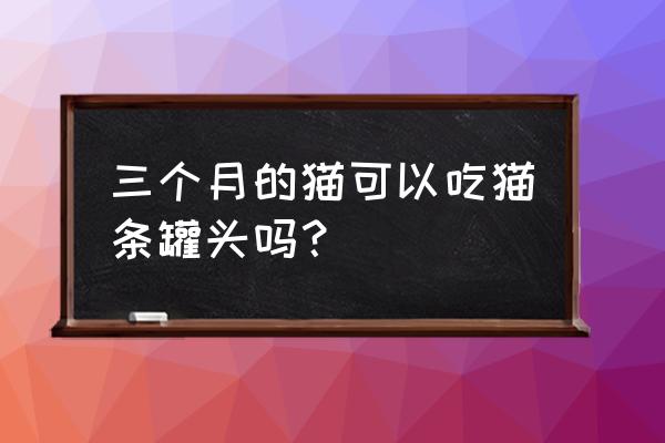 3个月小猫可以吃罐头吗 三个月的猫可以吃猫条罐头吗？