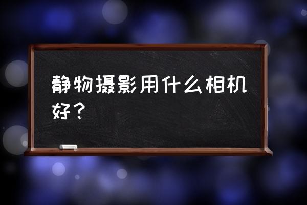 拍摄静物佳能哪一款型号相机 静物摄影用什么相机好？