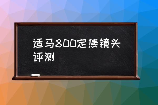 适马镜头换镜片要多少钱 适马800定焦镜头评测