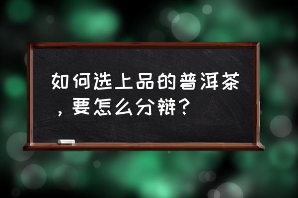 普洱生饼不苦不涩是不是好茶 如何选上品的普洱茶，要怎么分辩？