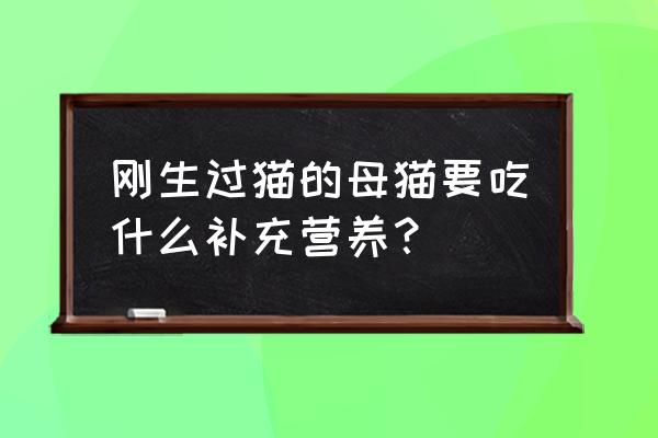 哺乳期母猫吃什么罐头 刚生过猫的母猫要吃什么补充营养？