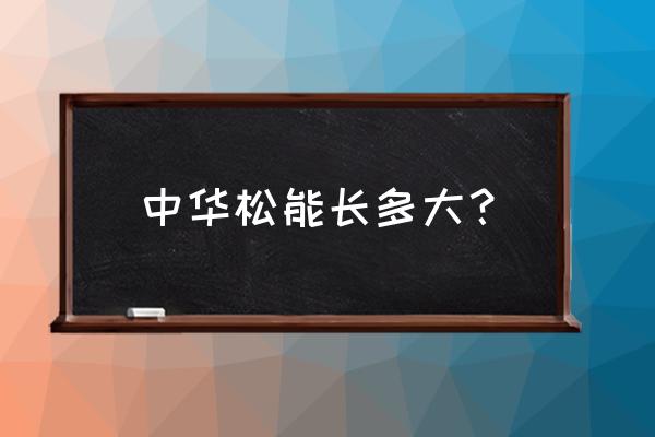 油松树苗一年能长多少厘米 中华松能长多大？