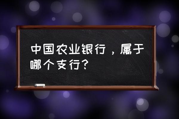 铜陵铜庄农行属于什么支行 中国农业银行，属于哪个支行？