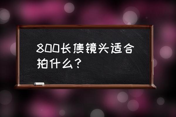 相机长焦镜头拍什么 800长焦镜头适合拍什么？