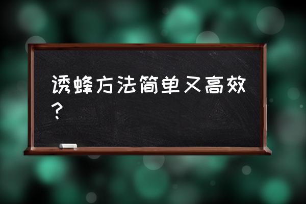 定西怎样透蜂 诱蜂方法简单又高效？