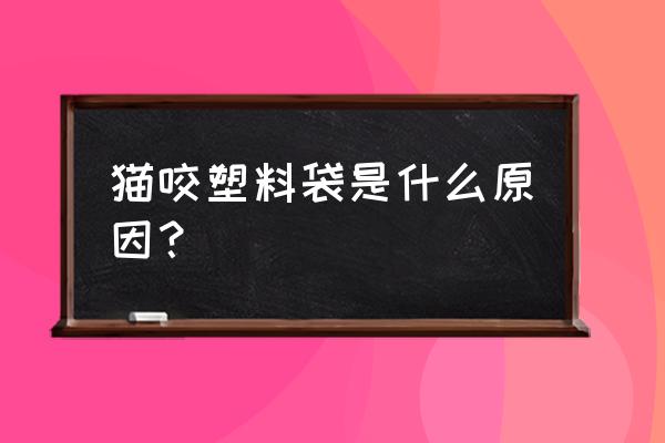 为什么猫咪喜欢啃塑料袋 猫咬塑料袋是什么原因？