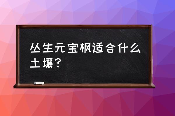 丛生元宝枫和元宝枫区别 丛生元宝枫适合什么土壤？