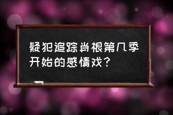 疑犯追踪第二季评价 疑犯追踪肖根第几季开始的感情戏？