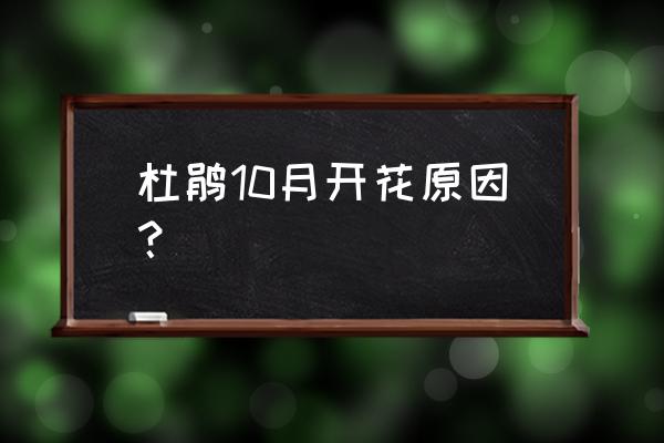 杜鹃花为什么九月份开花 杜鹃10月开花原因？