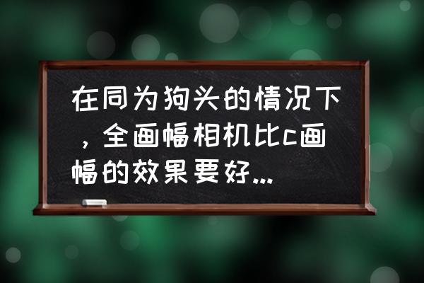 aps画幅和全画幅画质差别有多大 在同为狗头的情况下，全画幅相机比c画幅的效果要好很多吗？