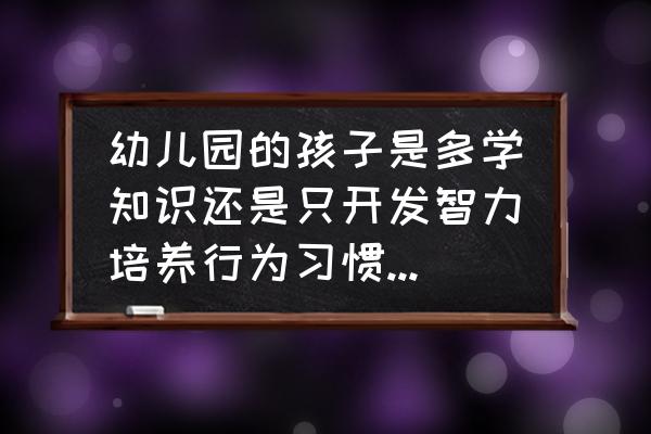 孩子三个坏习惯是智商高的表现 幼儿园的孩子是多学知识还是只开发智力培养行为习惯比较好？