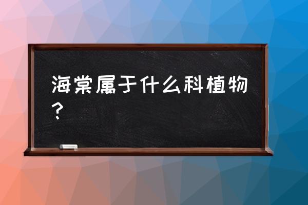 北京看海棠花最佳地点 海棠属于什么科植物？