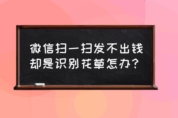 微信扫一扫可以识别花草树木吗 微信扫一扫发不出钱却是识别花草怎办？