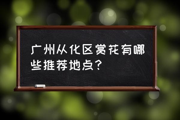 广州市赏花的最佳地方 广州从化区赏花有哪些推荐地点？