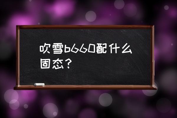 西数混合硬盘如何正确使用 吹雪b660配什么固态？