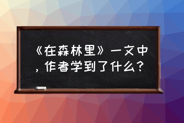 海贼王艾斯简笔画 《在森林里》一文中，作者学到了什么？