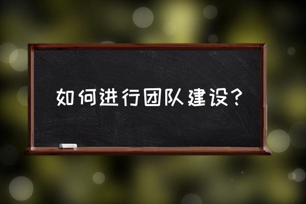 如何培养造就高水平人才队伍 如何进行团队建设？