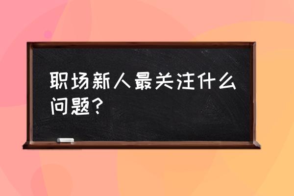 对企业服务方面存在的问题和措施 职场新人最关注什么问题？