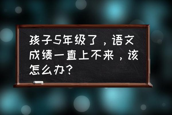 怎样学好语文五年级的 孩子5年级了，语文成绩一直上不来，该怎么办？