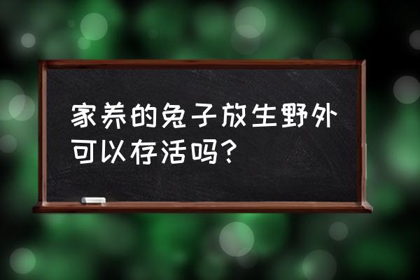 野外生存需要具备的能力 家养的兔子放生野外可以存活吗？