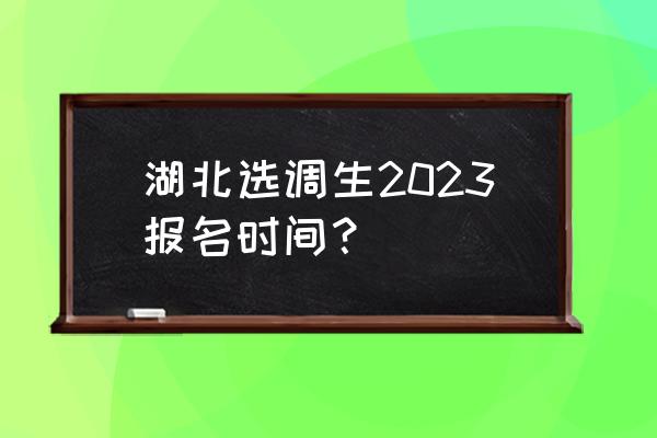 2022选调生最新通知湖北 湖北选调生2023报名时间？