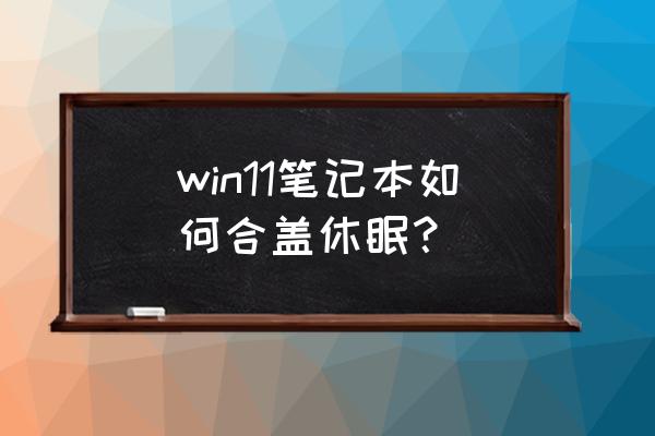 笔记本合起来不休眠 win11笔记本如何合盖休眠？