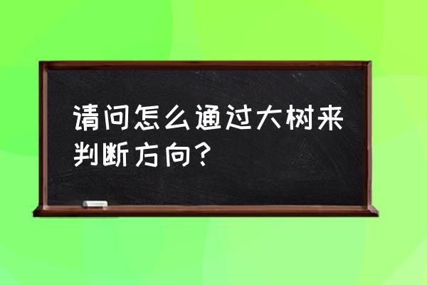 岩石能判断方向吗 请问怎么通过大树来判断方向？