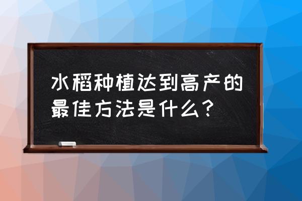 梁河县白酒销路怎么样啊 水稻种植达到高产的最佳方法是什么？