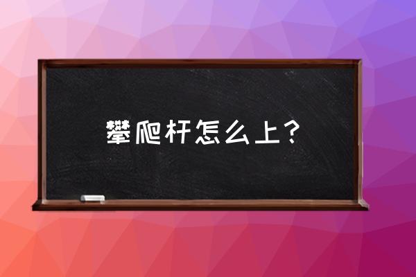 攀岩初学者训练前应该带什么 攀爬杆怎么上？