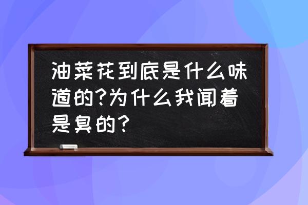 油菜花的样子颜色气味等其他特征 油菜花到底是什么味道的?为什么我闻着是臭的？