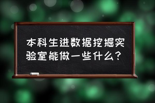 本科生进实验室有意义吗 本科生进数据挖掘实验室能做一些什么？