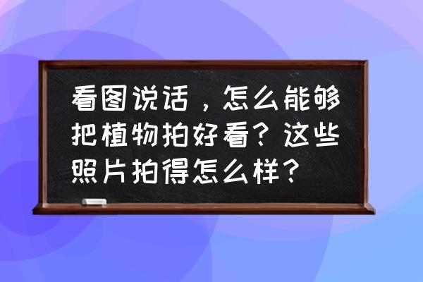 花草风景怎样拍 看图说话，怎么能够把植物拍好看？这些照片拍得怎么样？