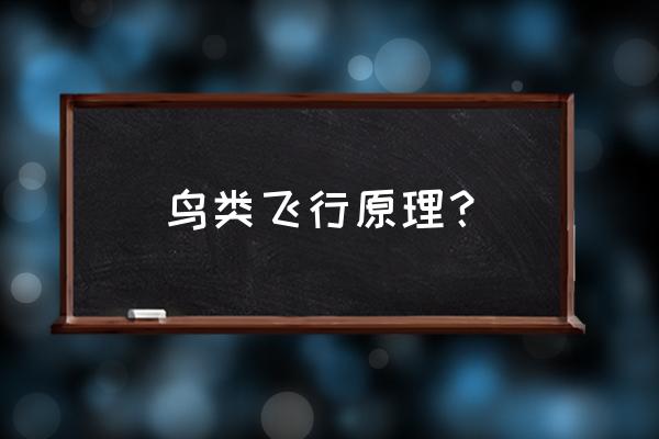 蜂鸟团队版怎么查看活动轨迹 鸟类飞行原理？