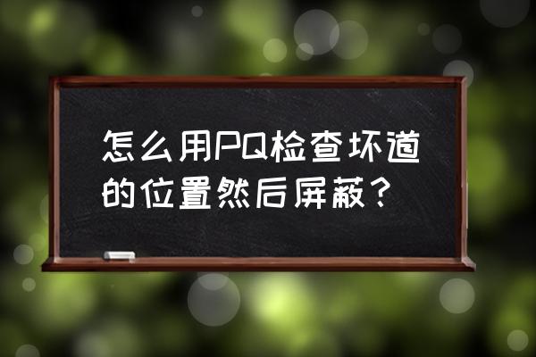 屏蔽坏道应该隐藏分区还是不分区 怎么用PQ检查坏道的位置然后屏蔽？