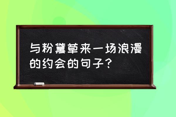 描写粉黛草的优美词句 与粉黛草来一场浪漫的约会的句子？