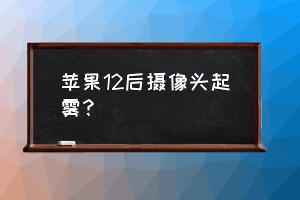 苹果手机摄像头进水坏了怎么解决 苹果12后摄像头起雾？