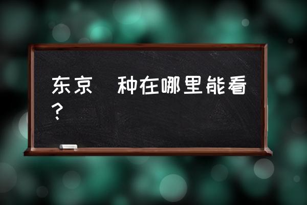 东京喰种第二季哪里可以看 东京喰种在哪里能看？