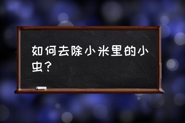 小米防潮防虫最好的方法 如何去除小米里的小虫？