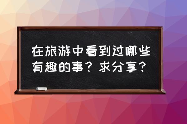 一家四口游玩发朋友圈的句子 在旅游中看到过哪些有趣的事？求分享？